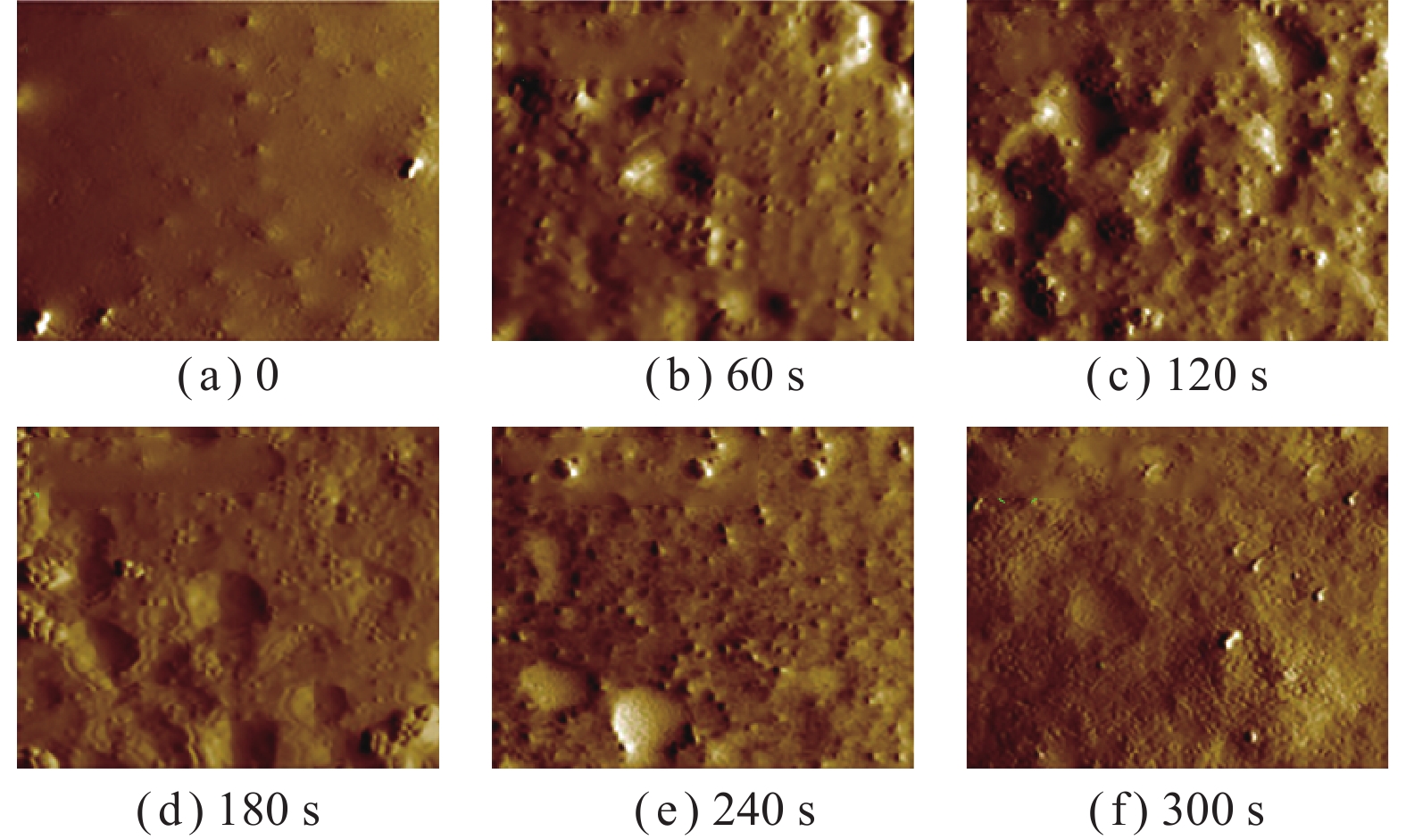 矿物表面粗糙度对颗粒–气泡相互作用影响的研究进展