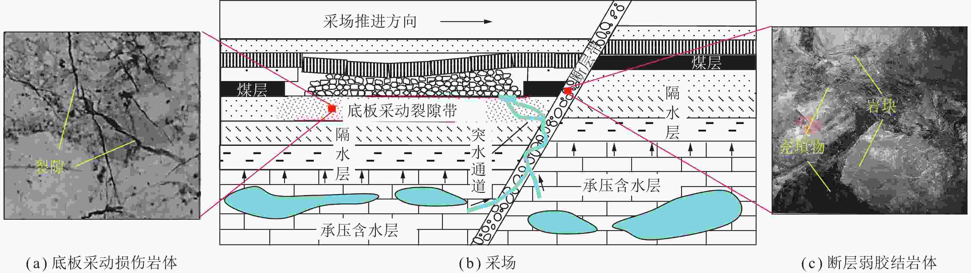 煤炭学报2024年49卷5期