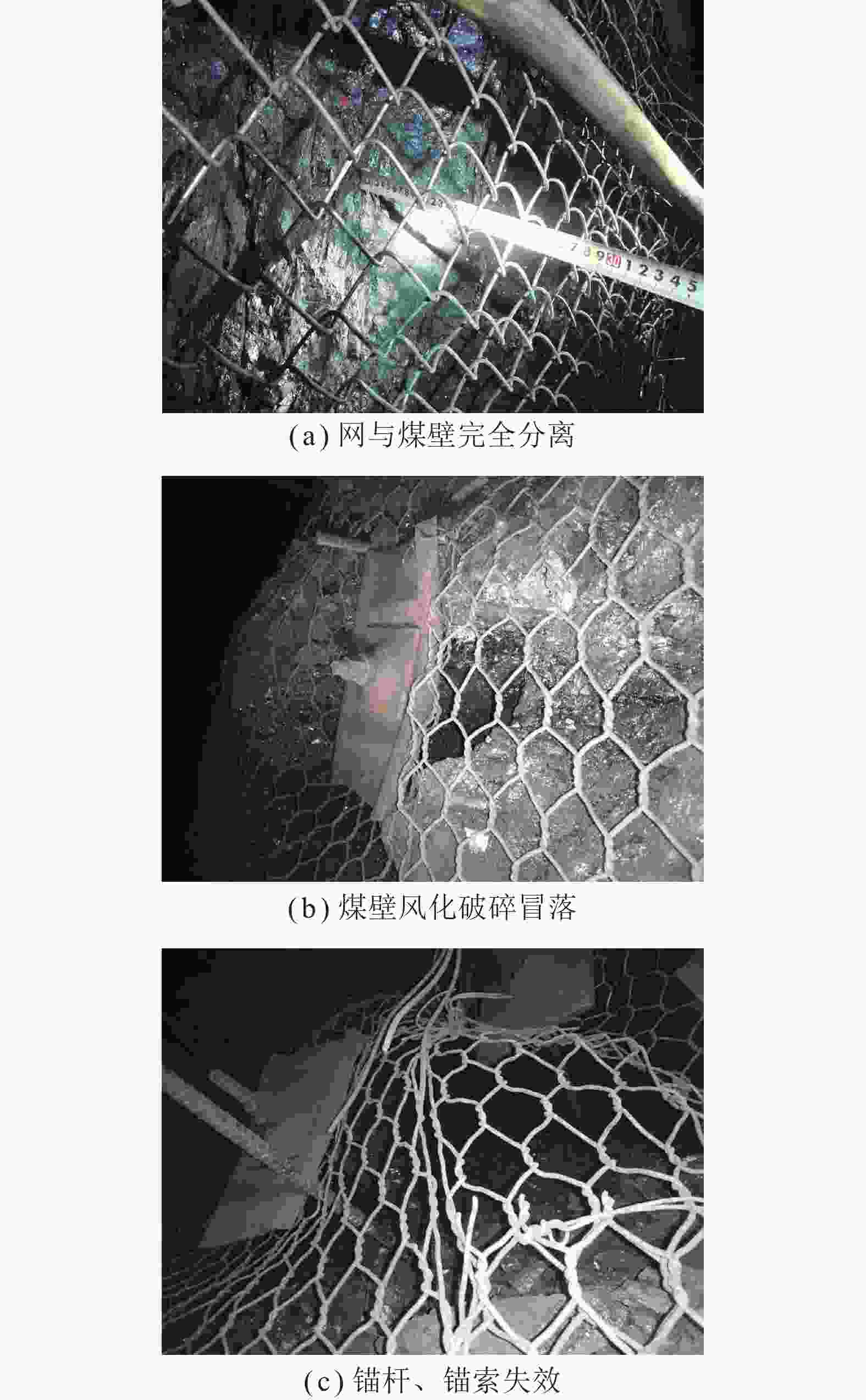 煤炭学报2024年49卷5期