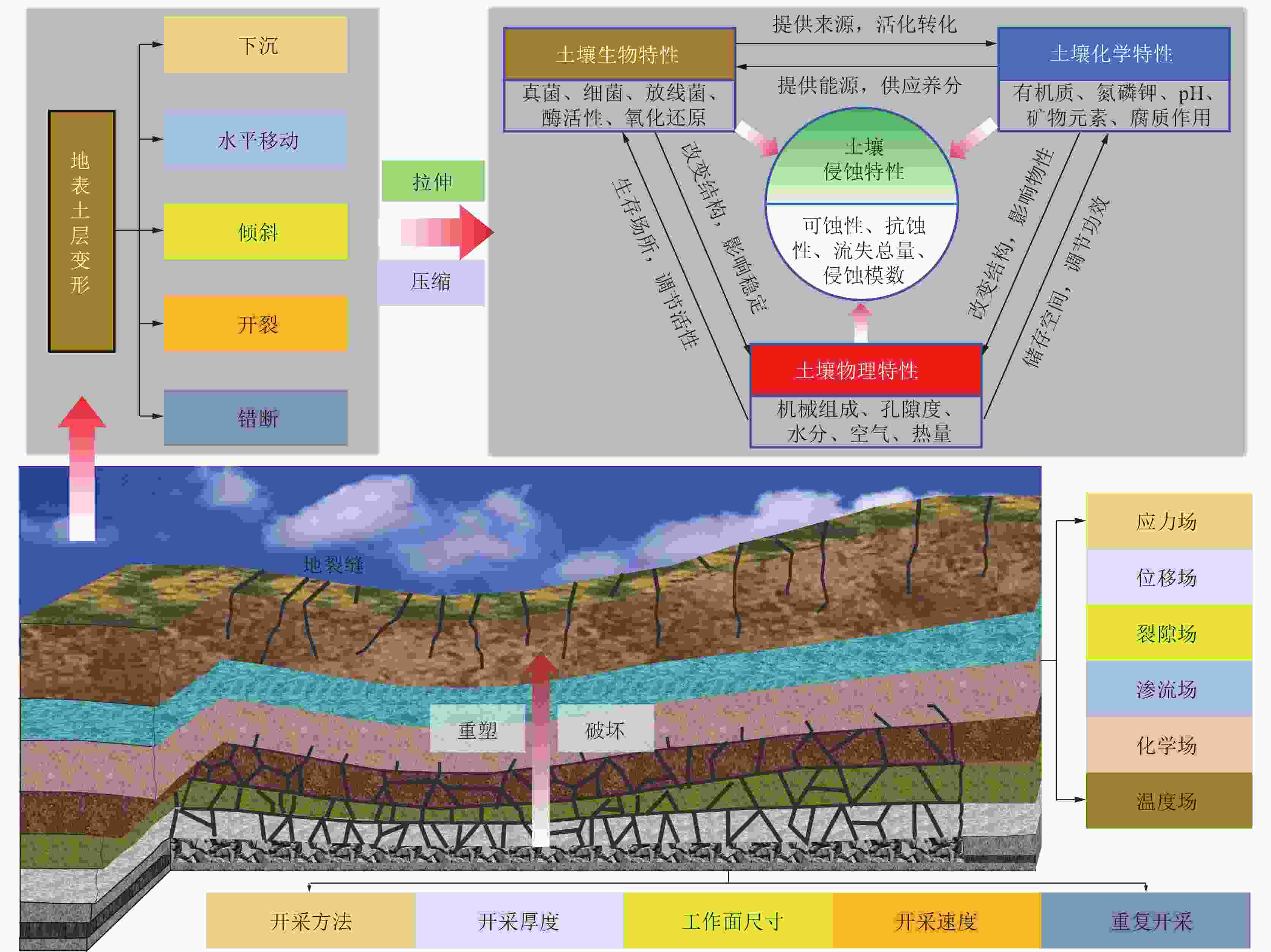 煤炭学报2025年50卷1期