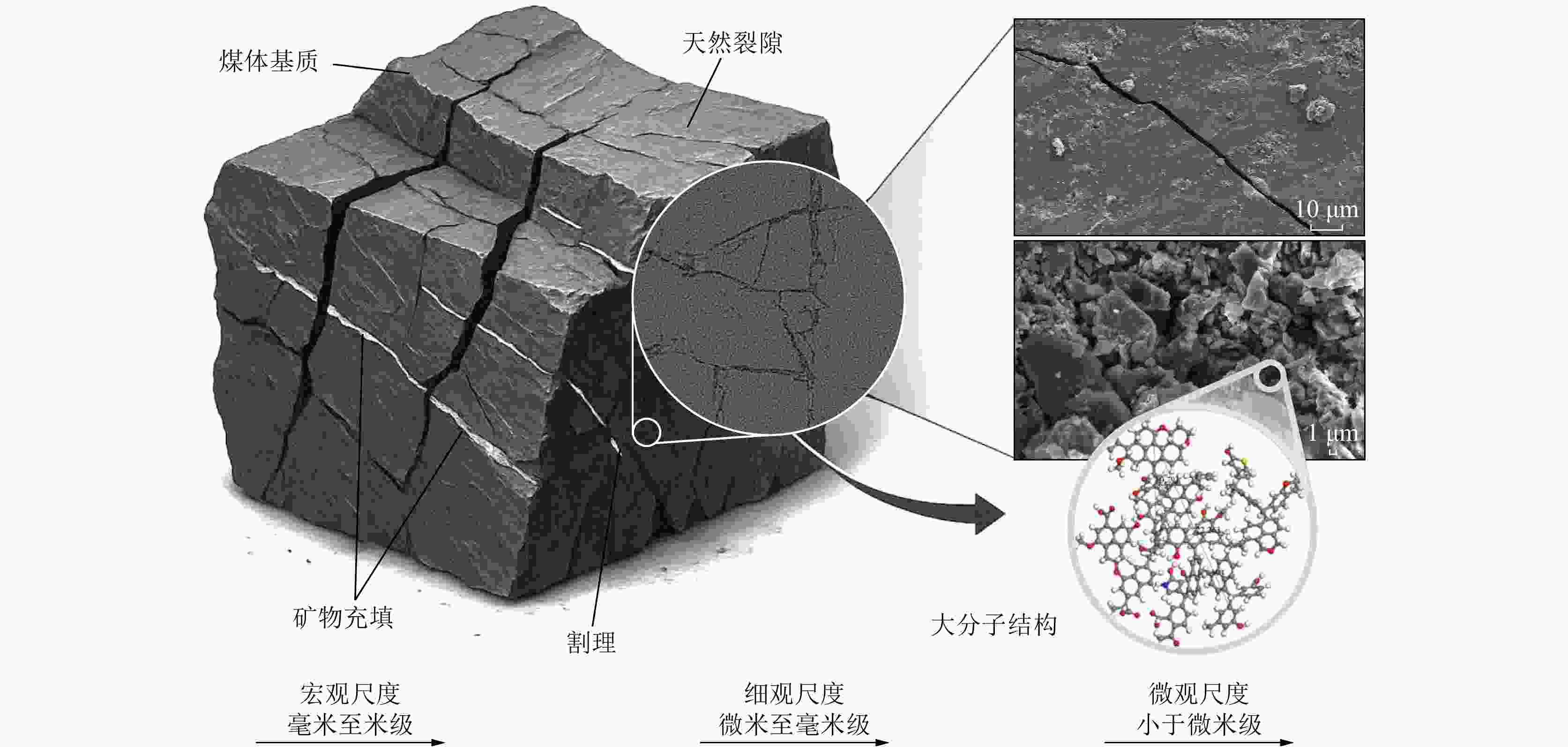 煤炭学报2026年51卷1期