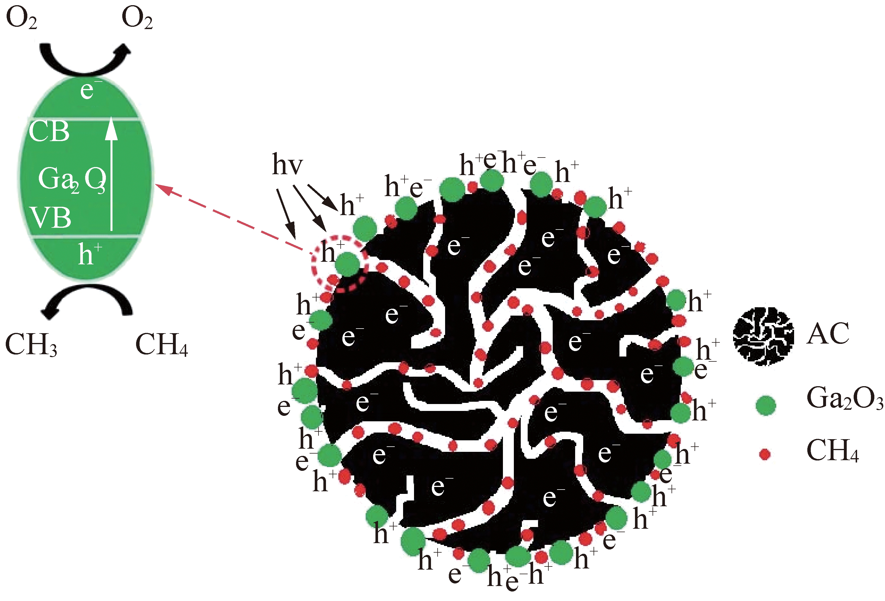 width=333,height=225,dpi=110