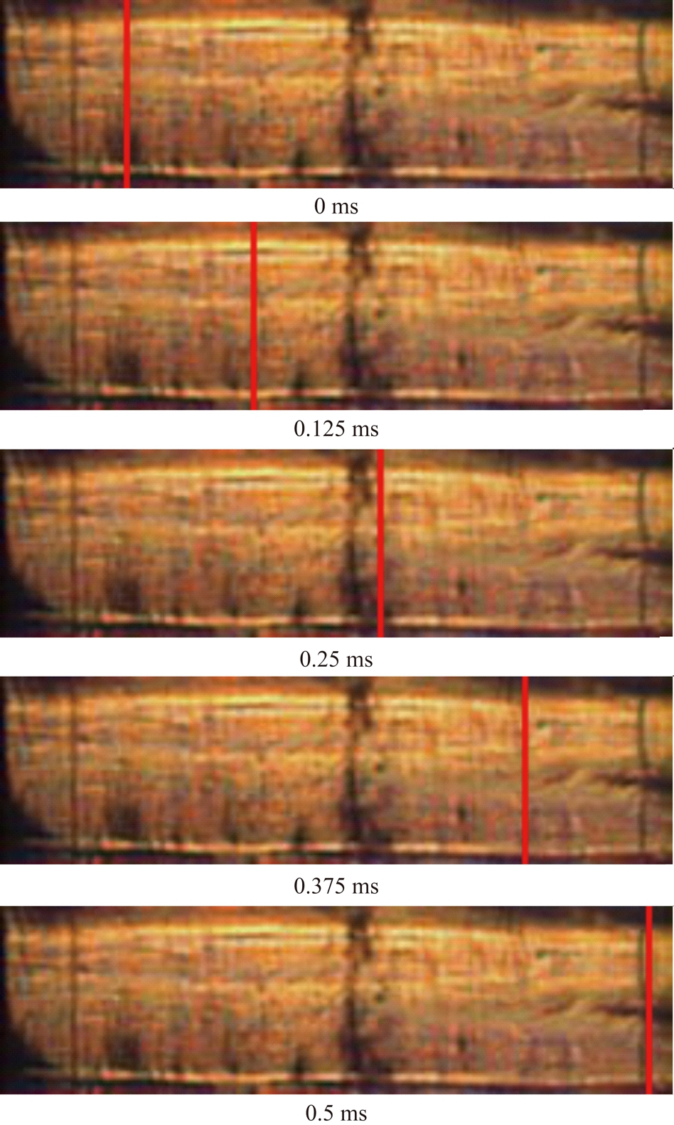 width=312,height=521,dpi=110
